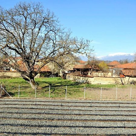 Vila V S. Gabarevo, Dolinata Na Rozite. Villa Buitenkant foto