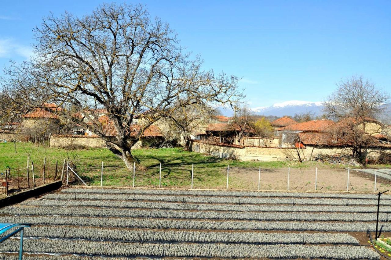 Вила В С. Габарево, Долината На Розите. Gabarevo Buitenkant foto