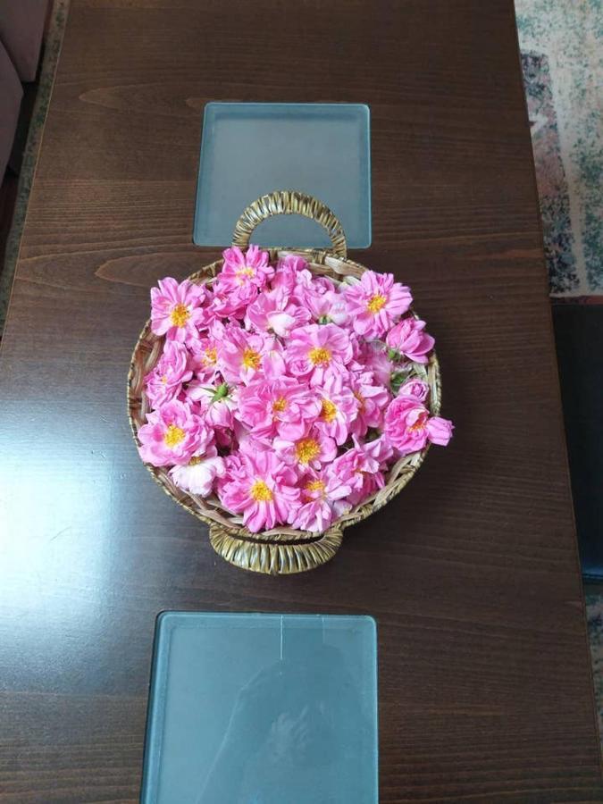 Вила В С. Габарево, Долината На Розите. Gabarevo Buitenkant foto