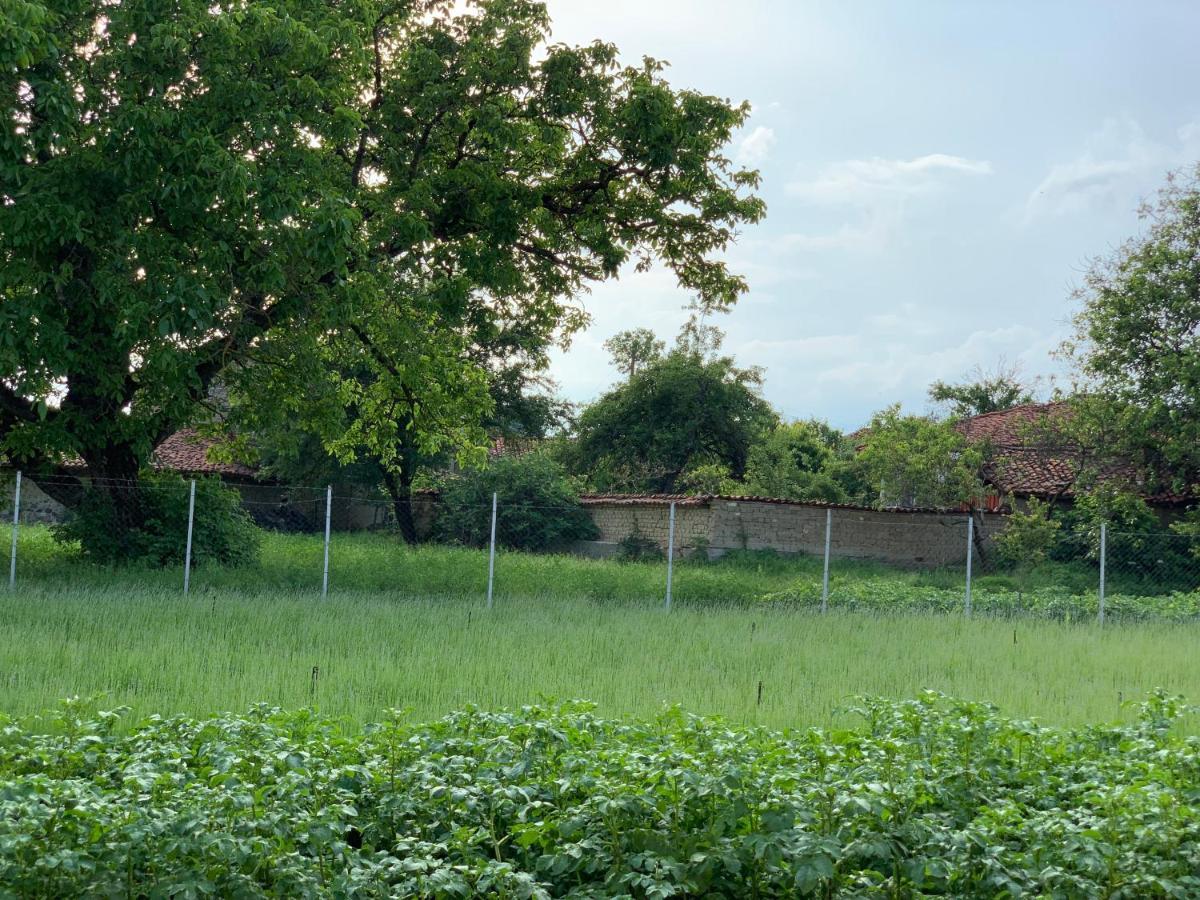 Vila V S. Gabarevo, Dolinata Na Rozite. Villa Buitenkant foto