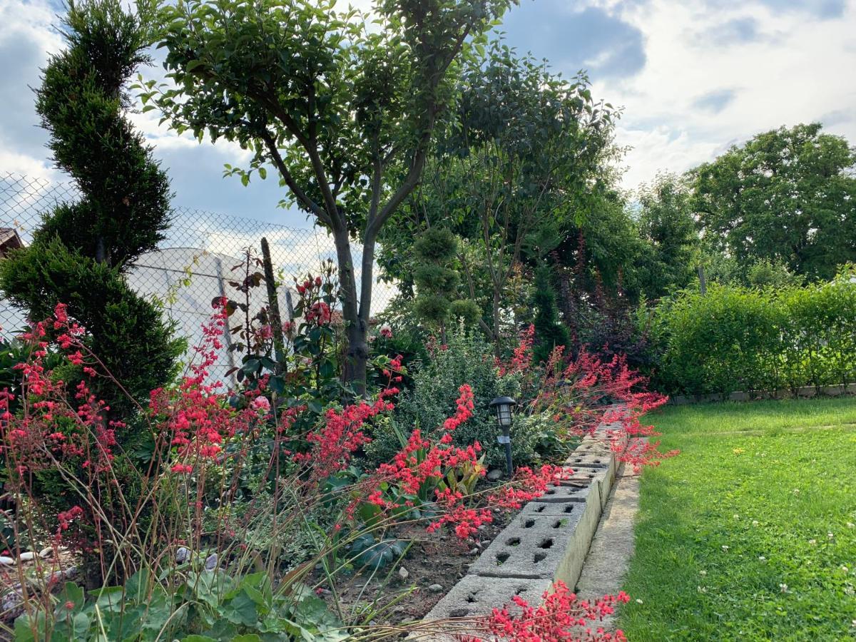Вила В С. Габарево, Долината На Розите. Gabarevo Buitenkant foto